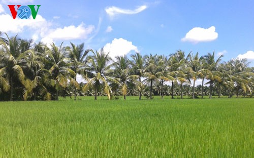 War veterans contribute to new rural development in Ben Tre - ảnh 1